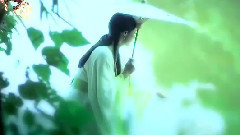 Apricot spends galaxy of Chinese of _ of the rain