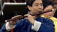 Vienna is aureate 1998 the hall concert of nation 