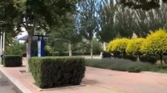 Chess of Deng Zi of _ of county of peaceful city o