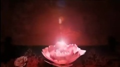 Lin Xinru of _ of music of beauty calculation titl