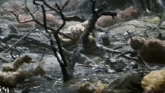 An ancient name for China galaxy of _ of the first