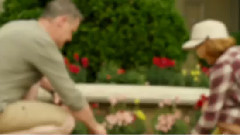 Scenery of Melia Advisory Group_ , musical short, 