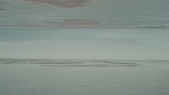 Black Halo_Lord Of The Lost