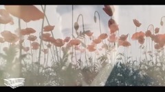 MFLEX SOUNDS - DREAMS _ is achieved formerly, musi