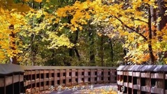 The autumn, xu Xin peacefully _ music short