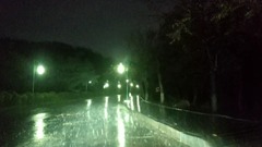 [Zhang Yu is sung formerly edition] Zhang Yu of fa