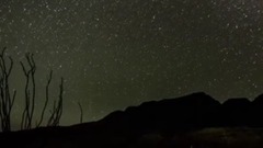 Accompany me to spend overflow Chen Mei of long ni