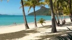 Once leave and went distant - Wang Feng of _ of Zh