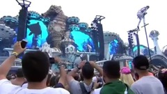 Euramerican galaxy of Alan Walker Tomorrowland Bel