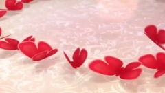 Galaxy of Chinese of _ of depend on each other of