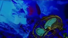 Music of Solo of Er of GOT7 Wang Jia " Made It "