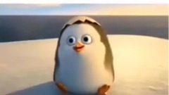 [BLACKPINK] right the family _BLACKPINK that you want to move toward honor together namely