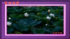 Galaxy of _ of charm of carry on one's shoulder,