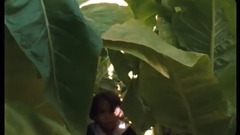 Happy Lazaluo former voice of extract 2_ movie and