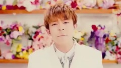 Galaxy of Memorila Short_ Japan