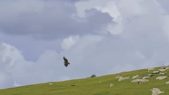 Shake! Galaxy of music of beautiful scenery Delive