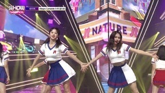 NATURE - Allegro Cantabile Show! Put together of K