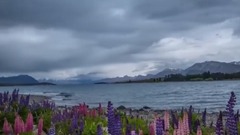 Short of music of free like the dream _