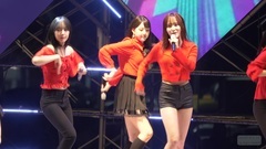 Celebration of globe amaranth of NAVILLERA - Yang 