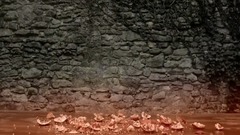 Living it is best dead _ Cai Jian elegant