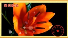 flower blossoms _ galaxy, musical short