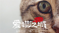 Feline language film " the city that loves a cat