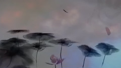 Liu Yong - _ of bell of pluvial continuous heavy r