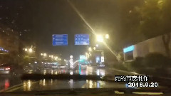 Silent it is golden _ Zhang Guorong, musical short