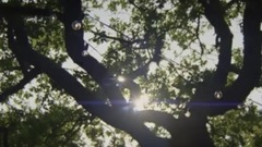 INNA _ On The Road #254 - INNA Tour Estonia_Inna, 