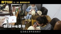 _ of fatso action group films fatso of titbits _ \