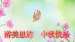 Drunk beautiful favour uses short film of music of