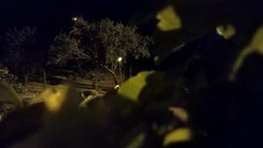 [music of piano of Zhao Haiyang dim light of night