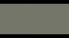 A L'Infinity_ Euramerican galaxy