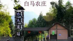 Short of beautiful music of smooth _ of spring bre