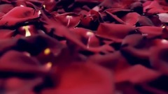 Natacha_ music short, dancing video