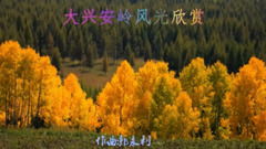 The lever that cover a horse goes in for sth in a