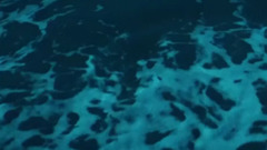 Medicine_ Euramerican galaxy