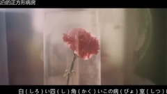 Sino-Japanese caption _ moves edition of libretto