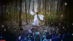 The heart is like video of dancing of _ of video o