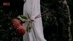 Destiny - too Zuo の is beautiful - move free <