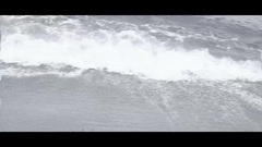 Euramerican galaxy of Fighting For Our Love_