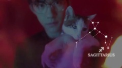 Easy melt 1000 royal seal<Fashionable gentleman Es