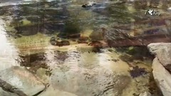 Pastorale_Secret Garden