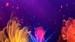 Liu Ke of lotus rain _