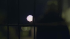 Jedina Mo? Nos? _ Euramerican galaxy