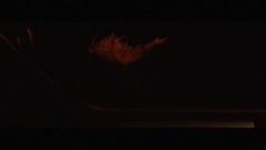 Euramerican galaxy of _ of я of а of д of р of