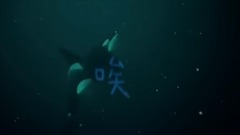 DZ Know of Europe of cloth of person of Higher Bro