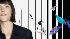 The Foreigner_ Euramerican galaxy