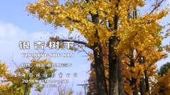 Ginkgo upholds next _ views, musical short