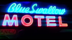 More More_ Euramerican galaxy